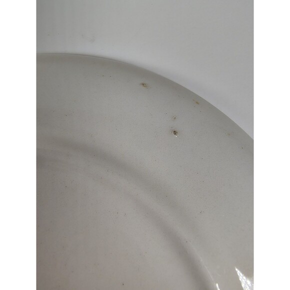 Vtg Homer Laughlin Golden Wheat Cup and Saucer Set 50's Cream 22K Gold Trim - Picture 6 of 10